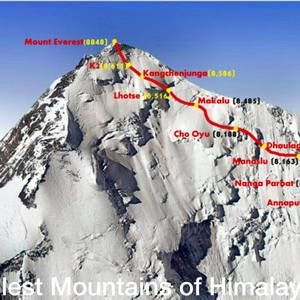 Meet your Posher, Bharathi